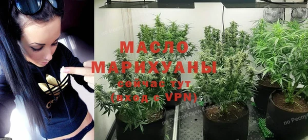 соль ск Ельня