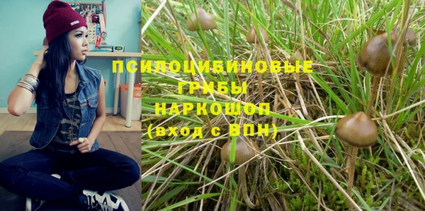 MESCALINE Белокуриха