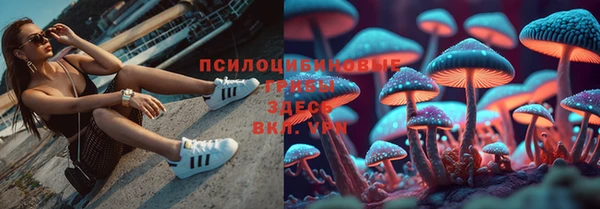 MESCALINE Белокуриха