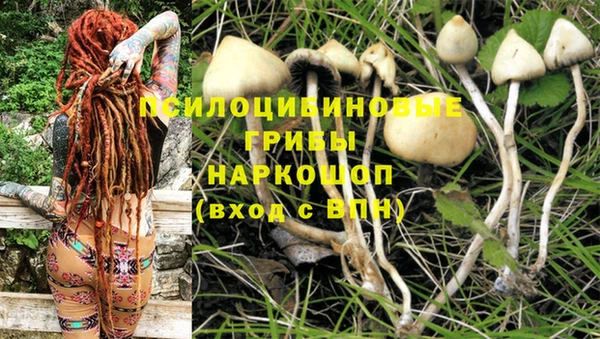 дмт Беломорск
